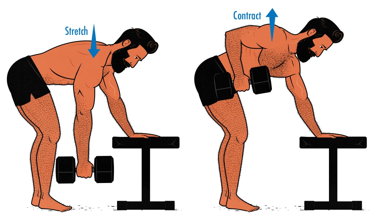 Illustration of a man doing dumbbell rows to build bigger traps.
