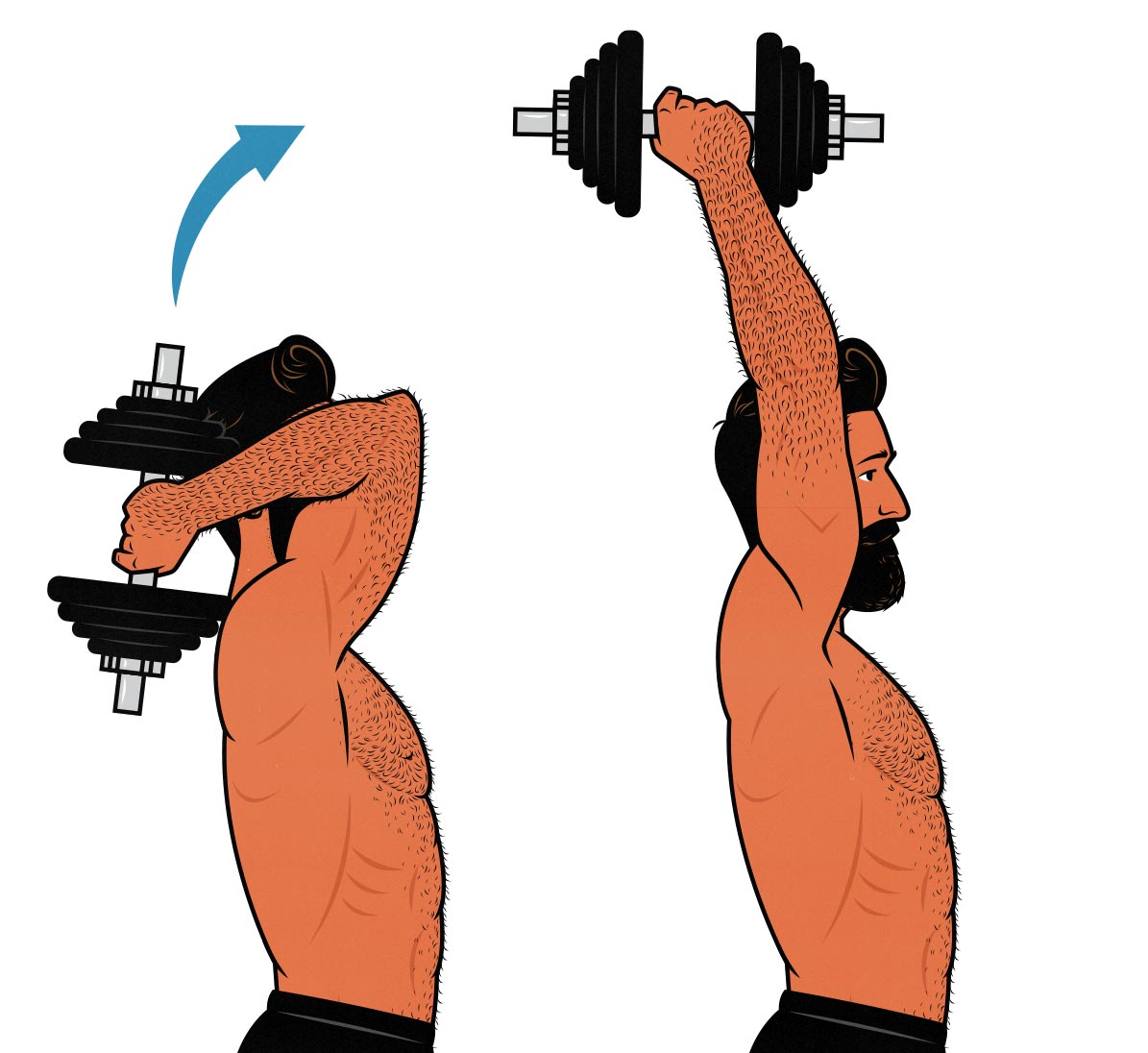Illustration showing the overhead triceps extension exercise.
