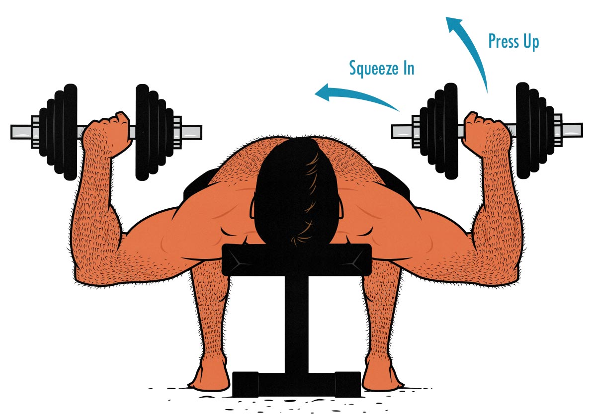 Diagram showing that the dumbbell bench press doesn't do a very good job of working the triceps muscles.