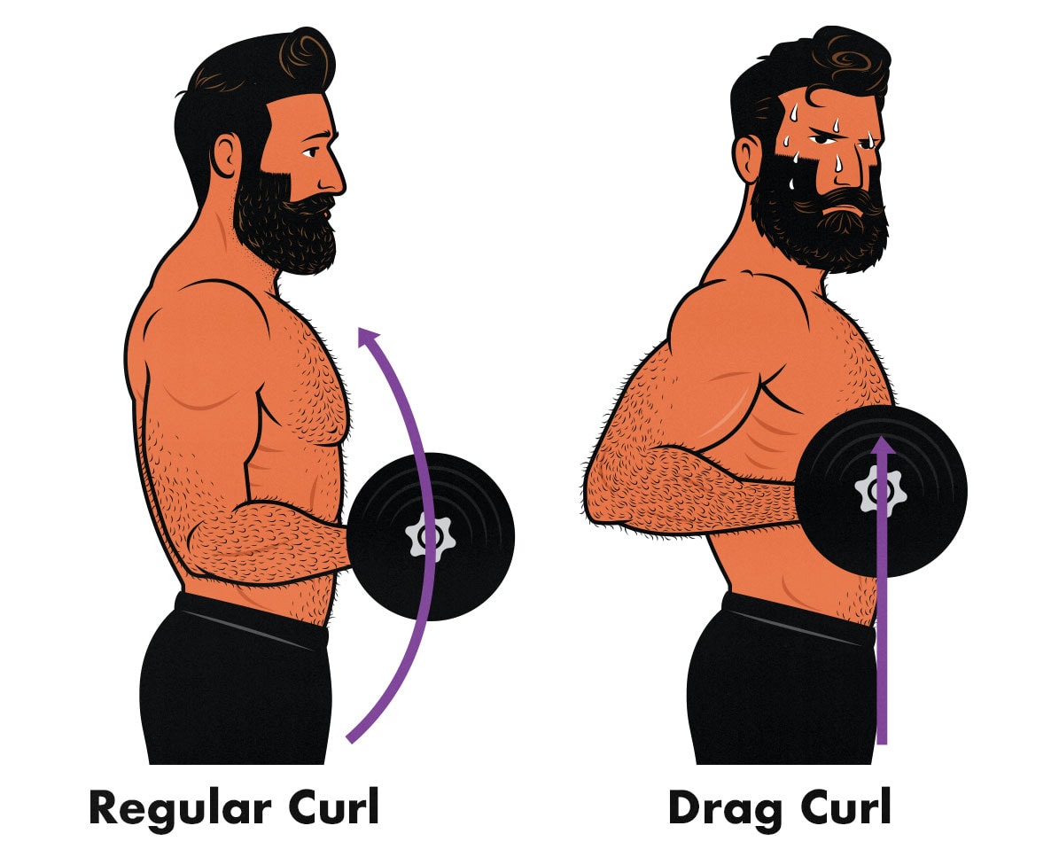 Illustration showing how to do the drag curl.