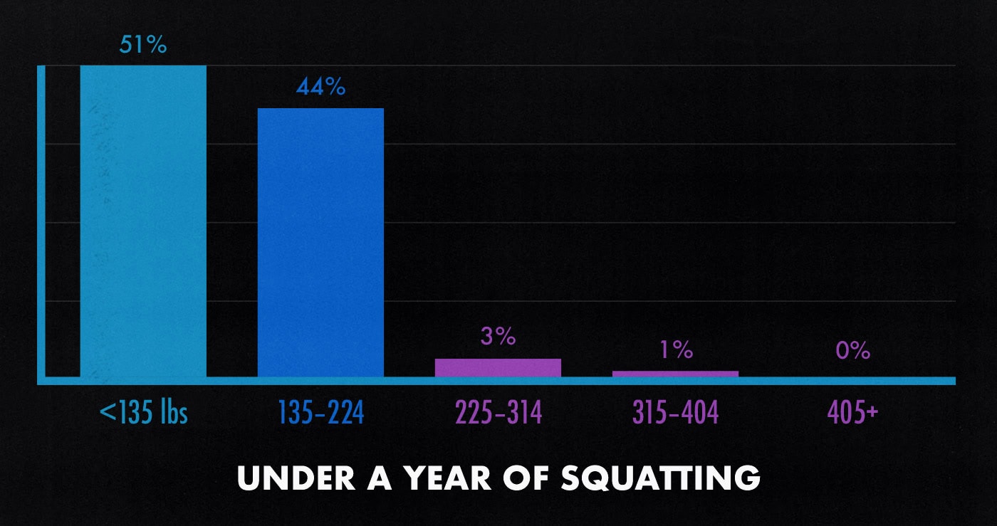 Survey results graph showing that the average beginner male squat strength.