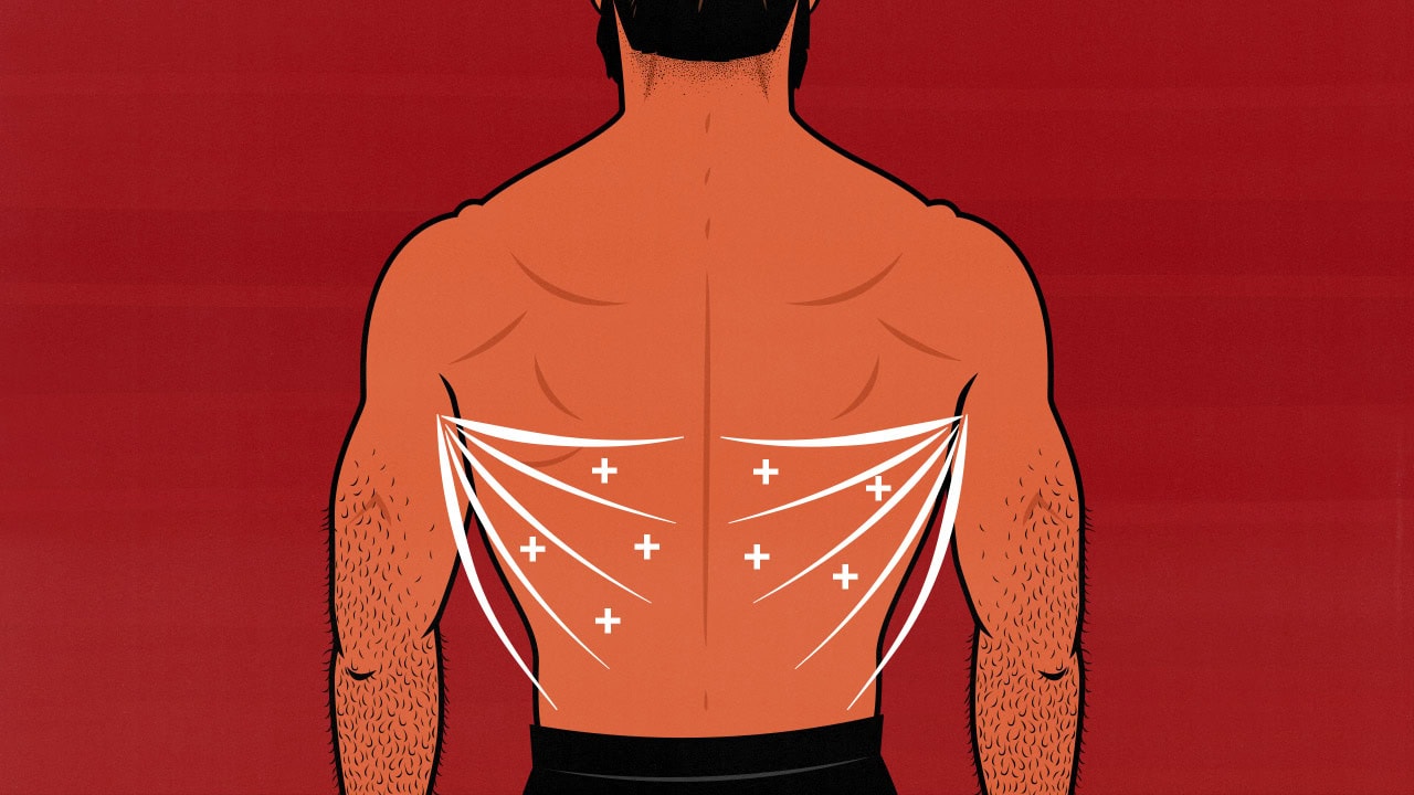 Illustration of a bodybuilder building bigger back muscles with dumbbell lat exercises.