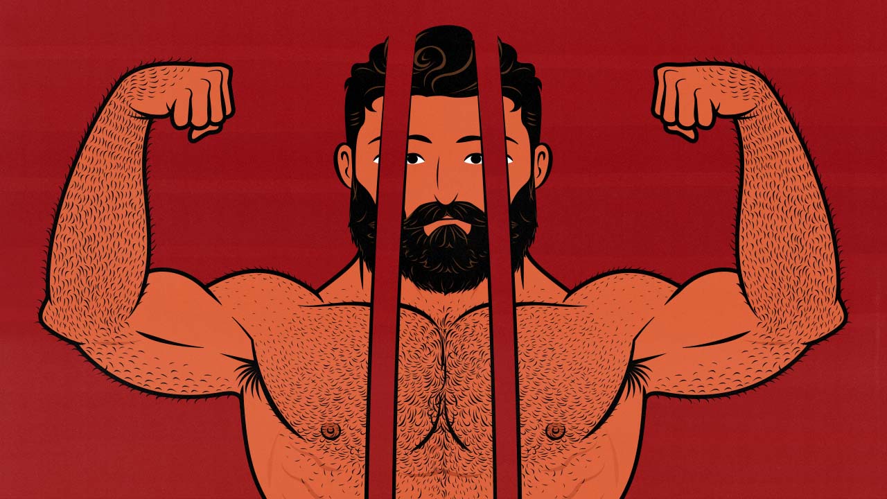 Illustration of a bodybuilder's full body split into three pieces.