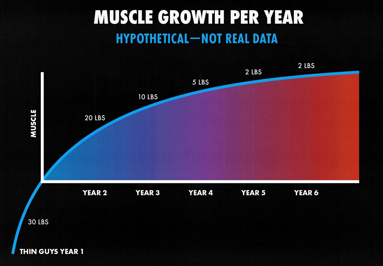 Graph showing how much muscle a skinny male lifter can expect to gain per year.
