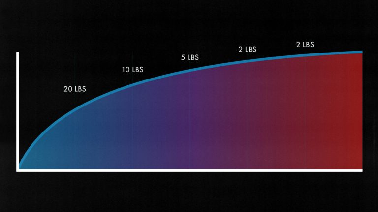 how much muscle can you gain in 1 year naturally