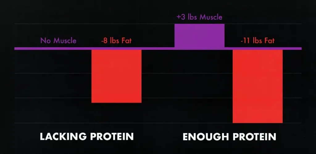 Study graph showing recomp from eating more protein.