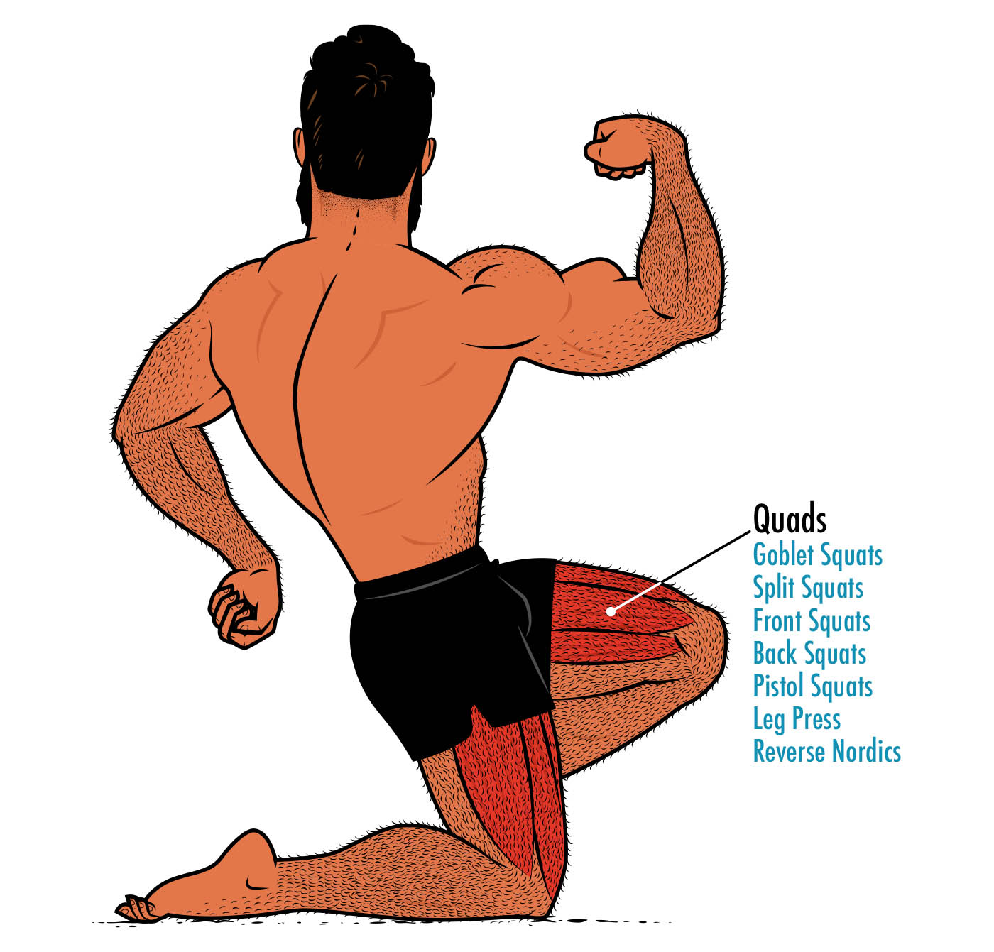 Diagram showing the muscles worked by leg extensions and alternative exercises.