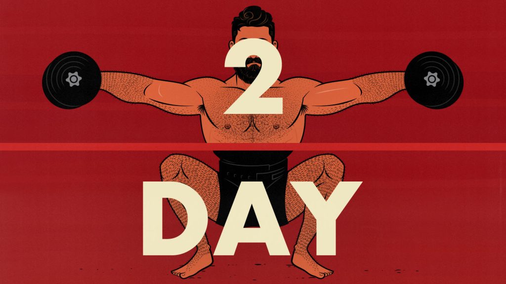 Illustration of a bodybuilder doing a 2-day workout split.