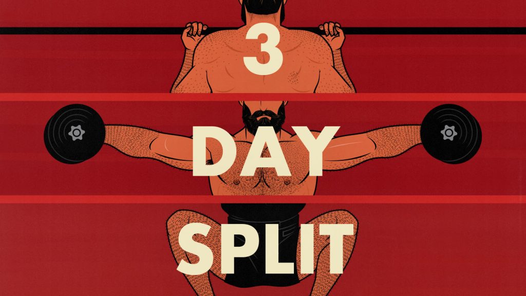 Illustration of a bodybuilder doing a 3-day workout split.