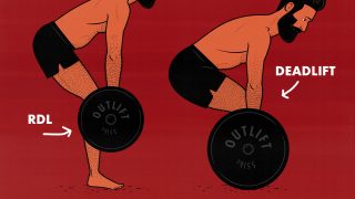 Illustration of a beginner doing an RDL and a bodybuilder doing a conventional deadlift.