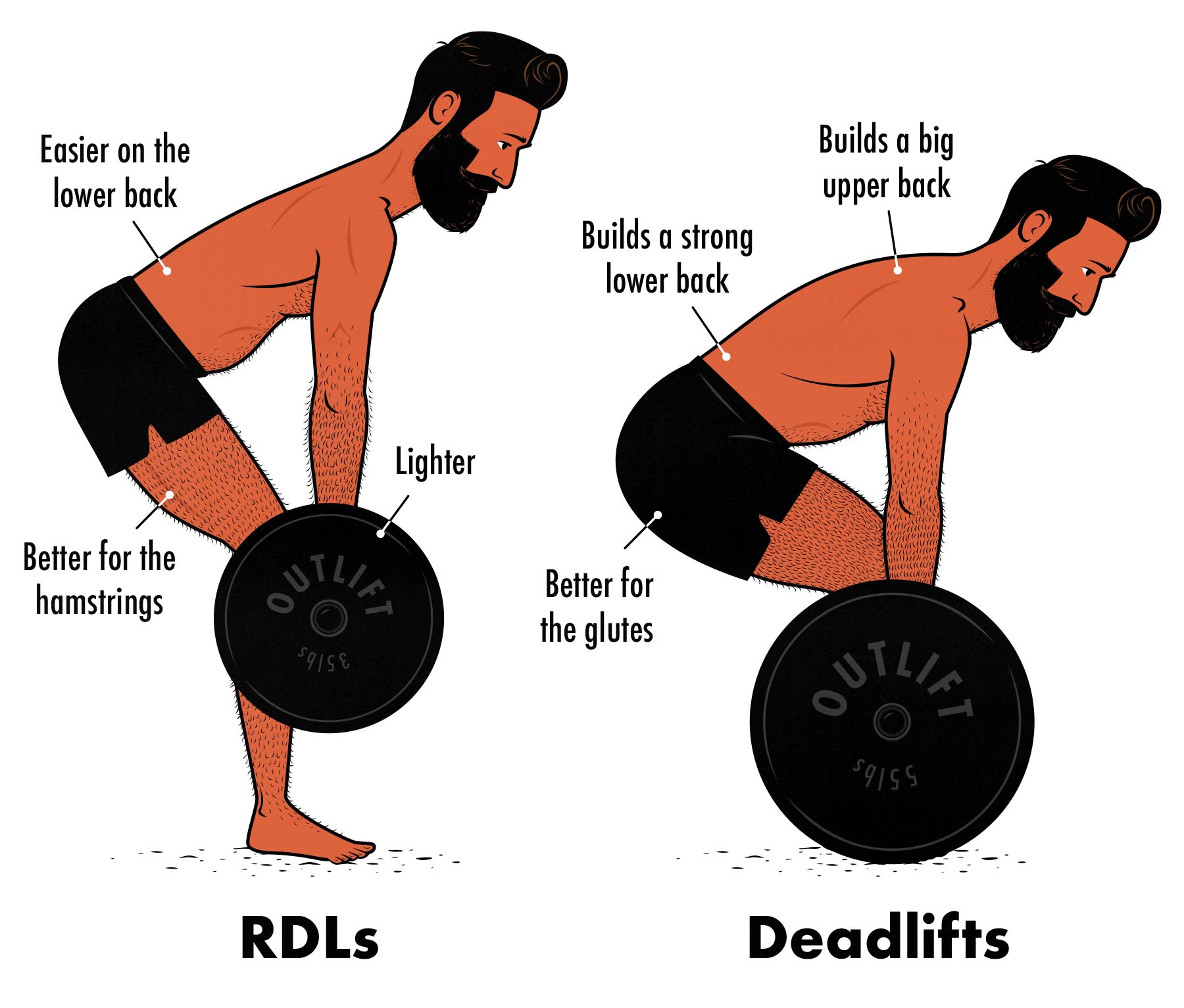 Diagram showing the differences between RDLs vs deadlifts.