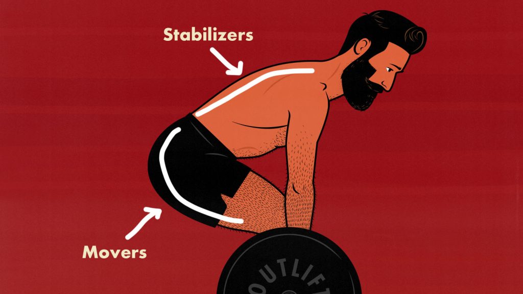 Illustration showing that deadlifts work back muscles and leg muscles, making it appropriate for both Back Day and Leg Day workouts.