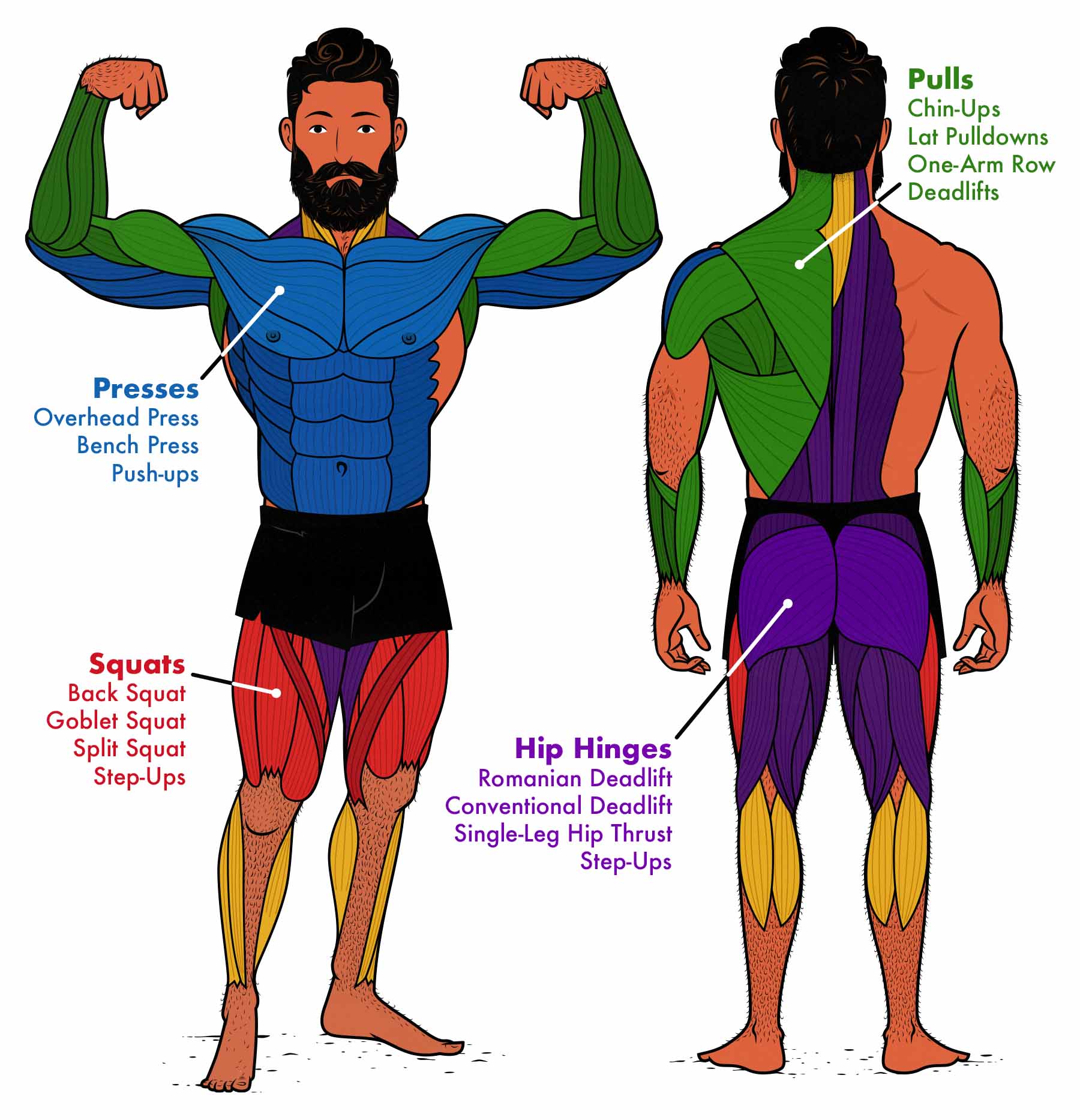 Diagram showing the best compound exercises to use in a 2-day workout split.