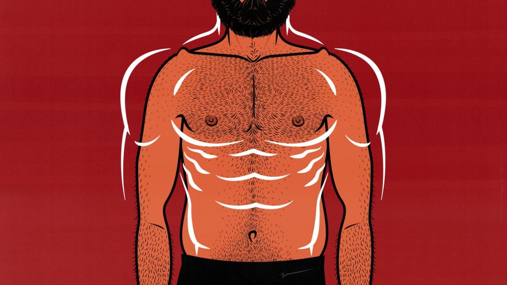 Illustration of a man building a v-taper physique by emphasising his shoulders, chest, and back.