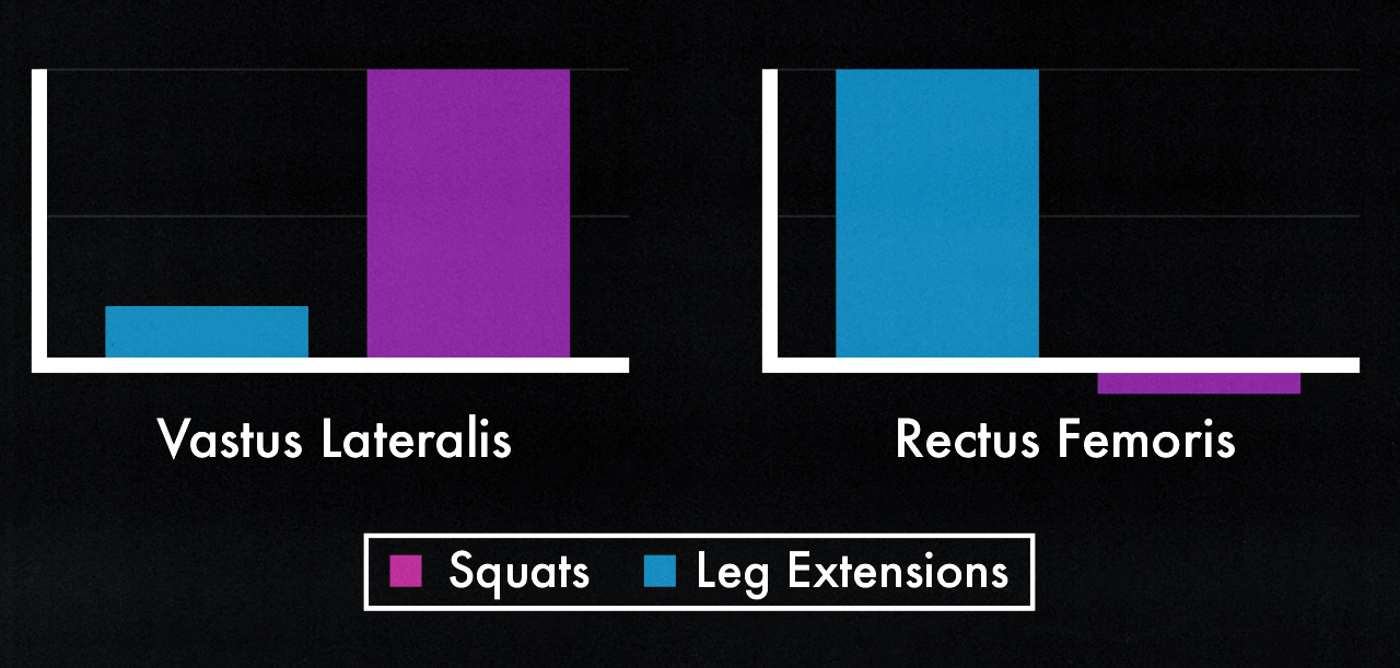 A study graph showing that squats and leg extensions work different heads of the quads.