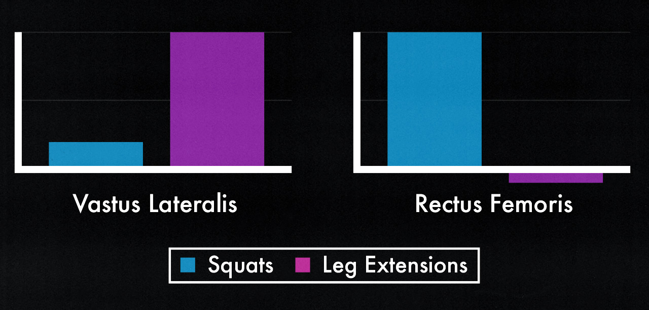 A study graph showing that squats and leg extensions work different heads of the quads.